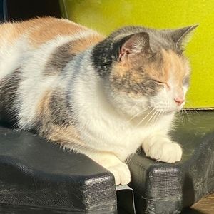 Meet your Posher, Emma